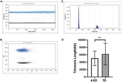 Shorter telomere length in children with autism spectrum disorder is associated with oxidative stress